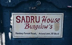 Sadru House